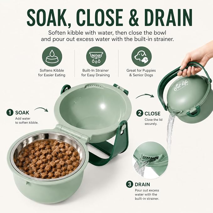 Travel Pet Bowl, Portable Dog and Cat Food & Water Bowl with Handle - Non-Slip, Easy to Clean, Made with Food Grade Plastic & 18/8 Stainless Steel for On-The-Go Pets (Sage Green) - Image 6