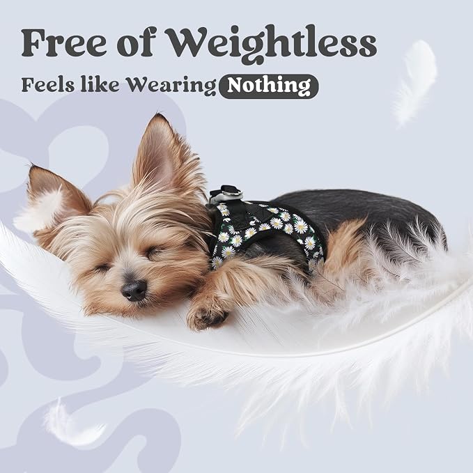 rabbitgoo Step-in Small Dog Harness, Puppy Vest for Small Sized Pet | Easy Put on and off, Lightweight, Soft, Breathable Quick-Dry Air Mesh for Comfortable Secure Walking, Midnight Daisy XXS - Image 4