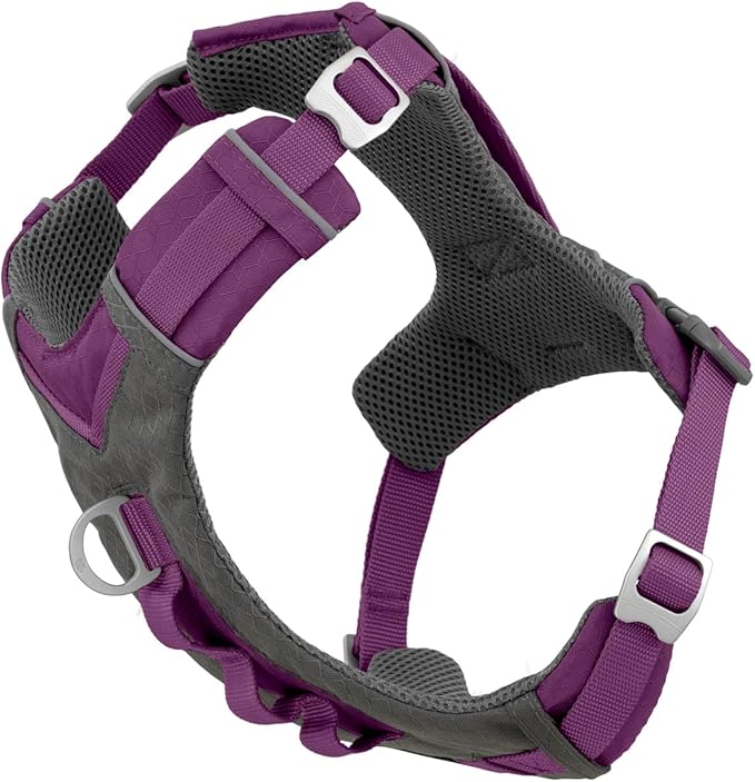 Kurgo Journey Air Dog Harness, Purple, Small | Padded Chest, Ripstop Outer & Breathable Mesh, Back Assist Handle, Rust-Free Aluminum Hardware, Reflective Trim by Kurgo