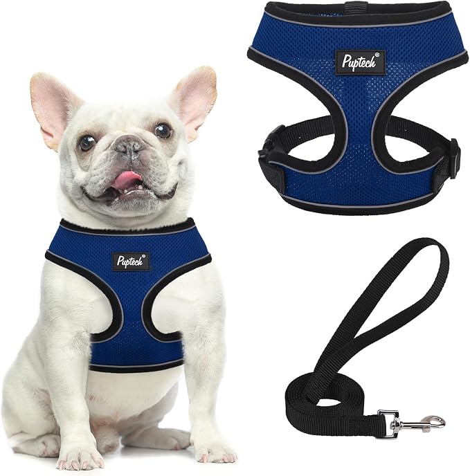 PUPTECK Small Dog Harness and Leash Set No Pull for XS XXS Sized Dogs Puppy | Escape Proof No Choke Pet Cat Adjustable Soft Padded Walking Vest by PUPTECK