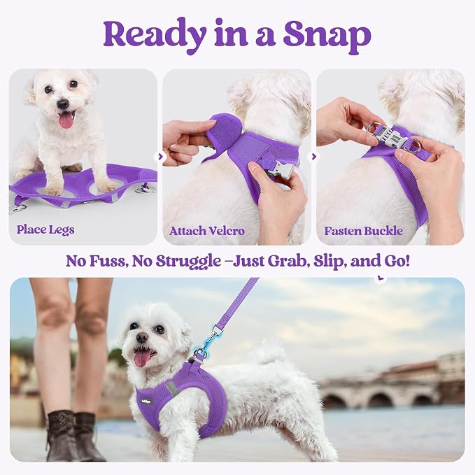 rabbitgoo Dog Harness Medium Sized and Leash Set, Step-in Puppy Pet Vest | Light, Soft, Breathable Air Mesh, Easy on and Remove with Hook & Loop, Secure Reflective for Walking, Purple L - Image 8