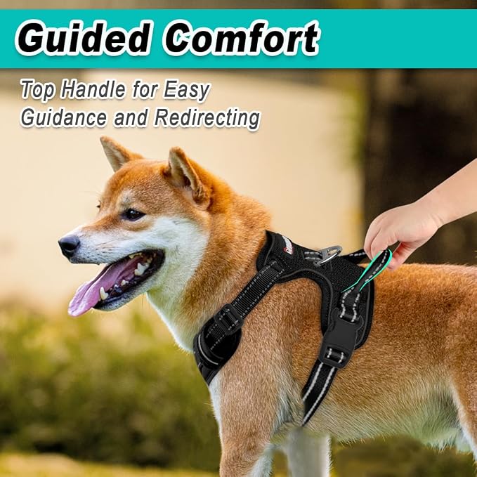 BARKBAY Dog Harness for Large Dog No Pull Mesh 2 Clips Dog Vest | Control Handle,Comfort,Heavy Duty,Adjustable Reflective,Perfect for Outdoor Training, Walking,Hiking(XL,Black Mesh) - Image 4