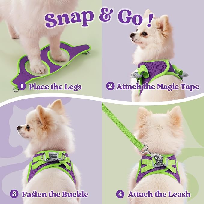 rabbitgoo Dog Harness Small Sized and Leash Set, Step in Soft Vest | Breathable Mesh, Easy Wear with Hook & Loop, Light and Reflective for Walking, Multi-colored, Purple & Green, XXS - Image 2