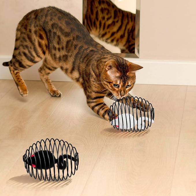 Jecery 5 Pcs Cat Toys Spring,Mouse,Black | Interactive Metal Cat Toy, Stretchable Rolling Ball, for Indoor Cats, Colorful Playful Coils, Kitten Pet Supplies - Image 6