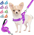 Lukovee Small Dog Harness and Leash Set, No Pull Soft Padded Vest | Both Neck & Chest Adjustable, Reflective, Puppy Harness with 4ft Lightweight Anti-Twist Dog Leash for Small Dogs (Purple, XS) by Lukovee