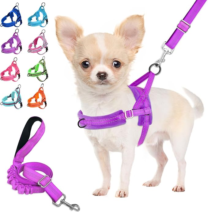 Lukovee Small Dog Harness and Leash Set, No Pull Soft Padded Vest | Both Neck & Chest Adjustable, Reflective, Puppy Harness with 4ft Lightweight Anti-Twist Dog Leash for Small Dogs (Purple, XS) by Lukovee