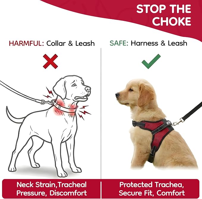 No Pull Reflective Adjustable Dog Harness with Handle- Comfortable Soft All Weather Mesh, Easy On Puppy Harness for Small Medium and Large Dogs (Red) Small - Image 5