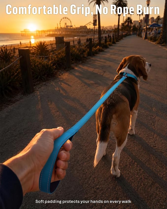 FunTags Reflective Nylon Dog Leash for Small & Medium Dogs, 6FT for Walks | Comfortable Padded Grip, Stay Safe at Night, 360° Anti-Tangle Swivel, for Dog Parks & Trails, Sky Blue - Image 2
