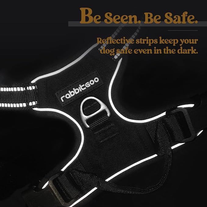 rabbitgoo Dog Harness, No Pull for Large Dogs with 2 Leash Clips, Pet Vest | No Choke with Handle, Adjustable Soft Padded, Reflective, Easy Control for Walking, Black, X-Large - Image 7