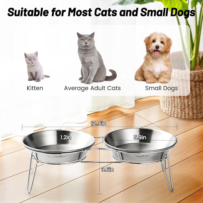 Elevated Cat Bowls, Wide Stainless Steel Cat Food Bowls with Metal Stand Whisker Stress-Free, Raised Food and Water Dish for Cats, Kitten, Puppies and Small Dogs - Image 6