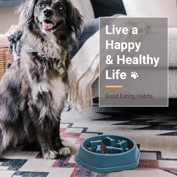 ASEVAT 2 Pack Slow Feeder Dog Bowls, Anti-Choking Puzzle Dog Food Bowls for Slower Eating, Personalized Dog Bowls for Medium Dogs and Cats, Prevents Overeating, Puppy Training (Blue+Yellow) - Image 6