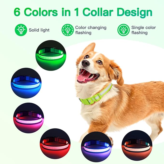 LED Light Up Dog Collar for Night Safety Walks, Green, M | USB rechargeable, waterproof & pet-safe, 3 lighting modes, long-lasting glow, adjustable S/M/L, soft comfy daily walk fit - Image 2