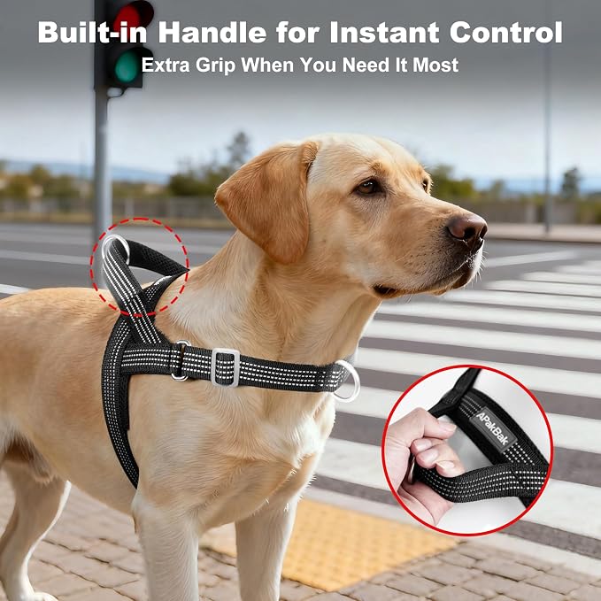 No Pull Dog Harness with Handle, Adjustable Soft Mesh Padded Vest | Reflective Walking Harness with Front Clip for Small Medium Large Dogs, Quick Fit No Escape for Training, Black, M - Image 3