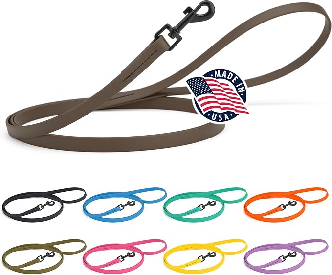 Dogline Biothane Waterproof Dog Leash Strong Coated Nylon Webbing with Black Hardware Odor-Proof Easy to Clean High Performance for Small or Large Dogs Made in USA 4 or 6 ft Lead, Dark Chocolate Brown by Dogline