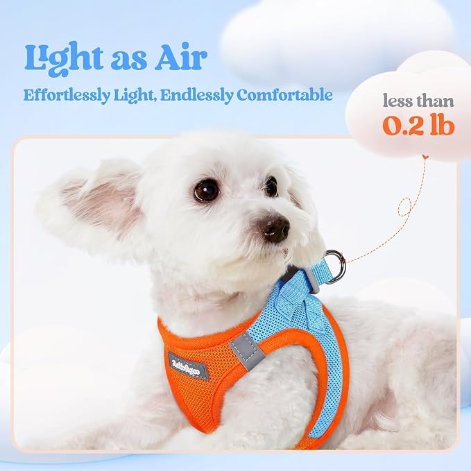 rabbitgoo Dog Harness Small Sized and Leash Set, Step-in Puppy Pet Vest | Light, Soft, Breathable Air Mesh, Easy on and Remove with Hook & Loop, Secure Reflective for Walking, Blue & Orange XS - Image 3