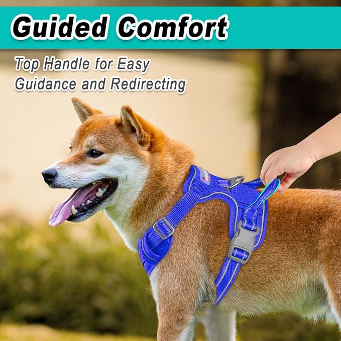 BARKBAY Dog Harness for Large Dog No Pull Mesh 2 Clips Dog Vest | Control Handle,Comfort,Heavy Duty,Adjustable Reflective,Perfect for Outdoor Training, Walking,Hiking(L,Sapphire Blue Mesh) - Image 4