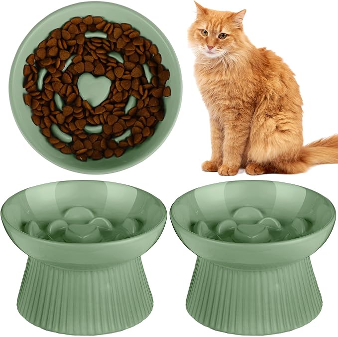 Tioncy 1 Pcs Ceramic Elevated Slow Feeder Cat Bowl, Raised Cat Slow Feeder Bowl, Anti Vomiting for Dry and Wet Food, No Spill High Edge Easy Clean Dishwasher Safe (Sage Green) by Tioncy