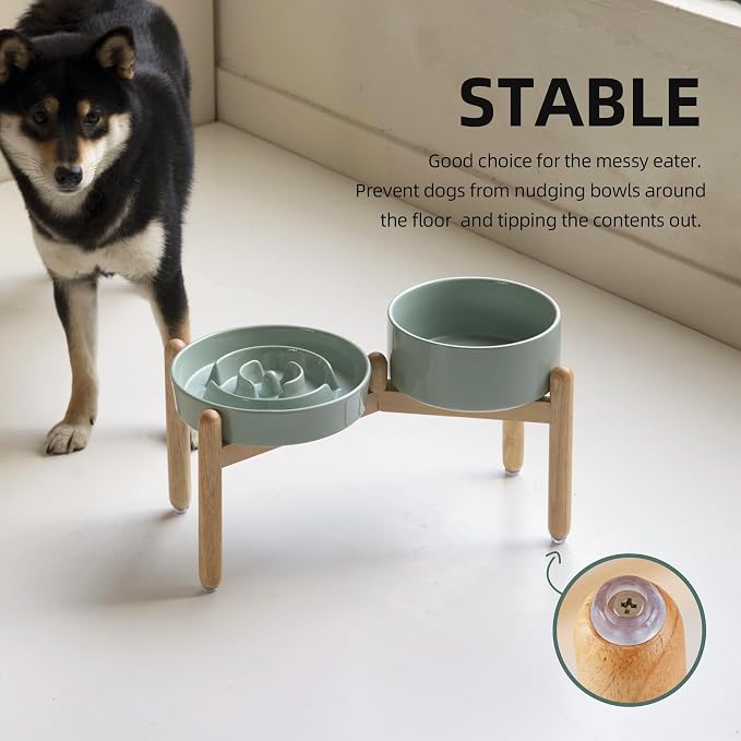Havniva Elevated Slow Feeder Dog Bowls, Ceramic Dog Bowl Slow Feeder Set | 1.6 Cups Raised Slow Feeder Dog Bowl for Medium Breed, 7.3” Dog Water Bowl with Wooden Stand, Puzzle Dog Food Bowl, Non-slip - Image 7