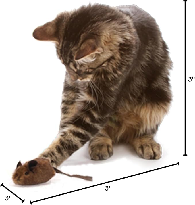 OurPets Play-N-Squeak Mouse Hunter Cat Toys with Catnip | Interactive Toy with Real Mouse Electronic Sound, for Indoor Cats - Image 7