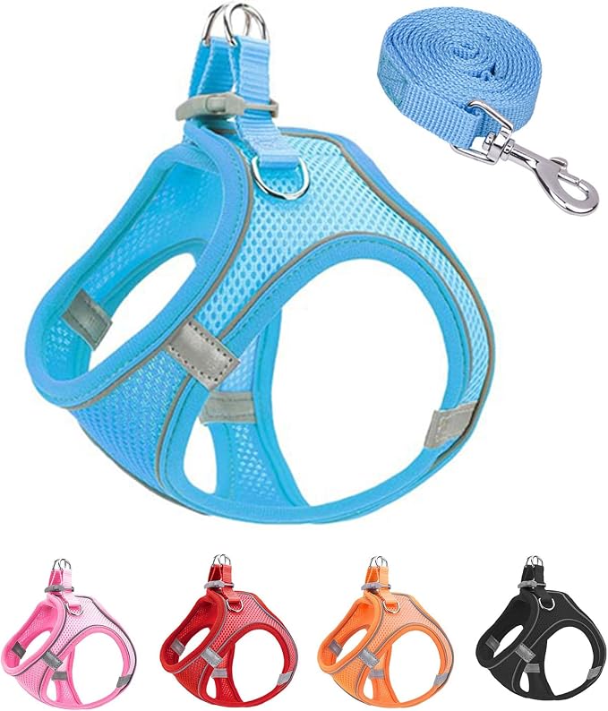 L Blue Soft Mesh Dog Harness and Leash Set,No Escape Puppy Harnesses for Training Walking， Reflective Adjustable Puppy Vest for Small Medium Dogs, Cats (Blue, L) by Unknown