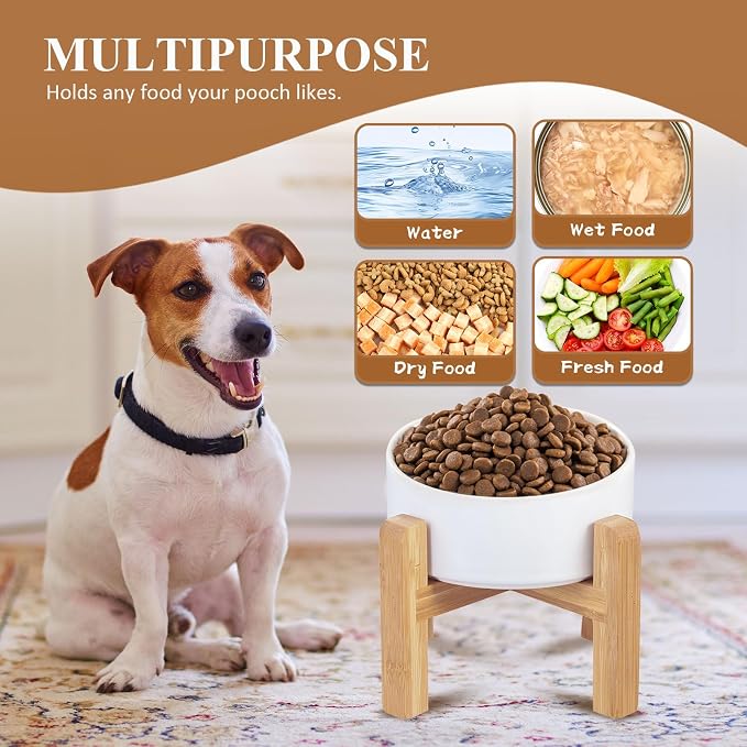 Ceramic Elevated Dog Bowl with Bamboo Stand, for Small & Medium Dog, White - Image 9