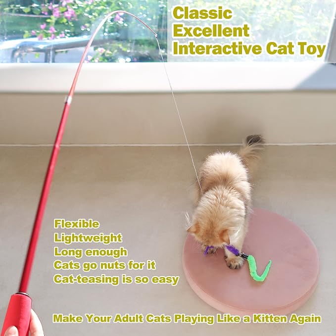MeoHui Cat Toys for Indoor Cats, Interactive Cat Toy 2PCS Retractable Wand Toy and 9PCS Cat Feather Toys Refills, Funny Kitten Toys Cat Fishing Pole Toy for Bored Indoor Cats Chase and Exercise - Image 2