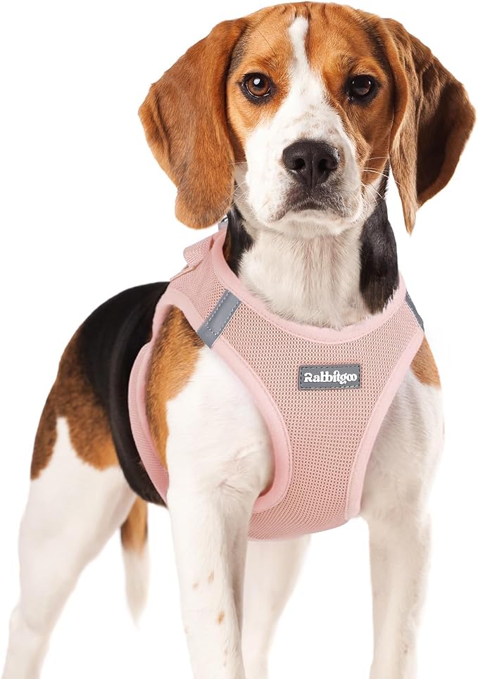 rabbitgoo Step-in Small Dog Harness, Puppy Vest for Small Medium Sized Pet | Easy Put on and off, Lightweight, Soft, Breathable Quick-Dry Air Mesh for Comfortable Secure Walking, Pink XL by rabbitgoo