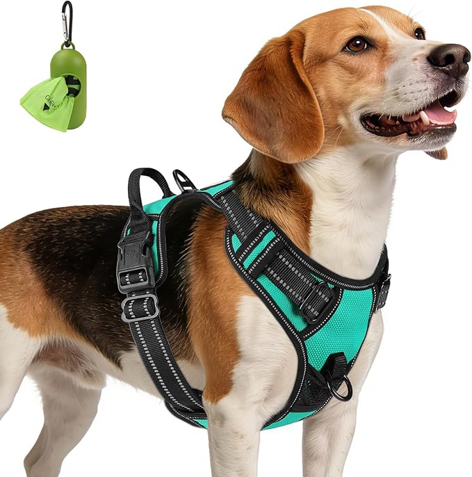 Joytale No Pull Dog Harness Medium Sized Dog, Front Clip, Teal | Grab Handle for Instant Control, Padded & Adjustable Vest, Sturdy Metal D-Rings, for Safe Training & Daily Walking by Joytale