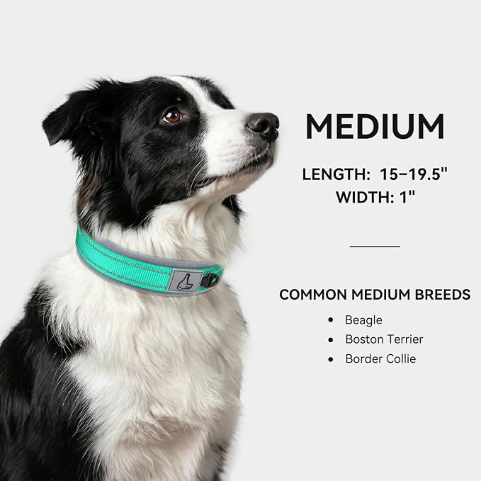 Joytale Reflective Dog Collar for Medium Dogs with Wide Padding, Teal | Soft Cushion Reduce Neck Strain, Night Safety Walking, Metal Buckle and Adjustable Eyelets, Separated Dog ID Tag Ring - Image 5