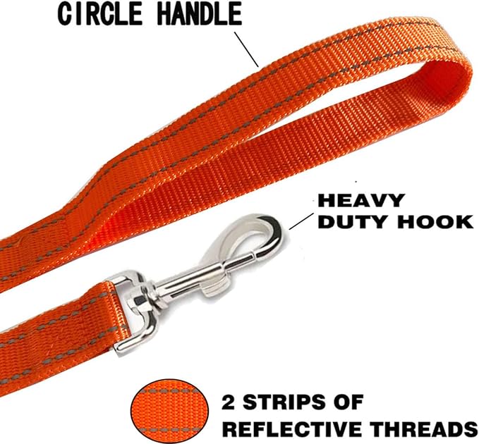 Reflective Dog Leash 4Ft /5 Foot /6 Feet Long, 1 Inch Wide, for Small and Medium Dogs - Image 4