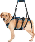Dog Lift Harness for Medium Male Dogs Friendly, 2 in 1 Detachable Support Harness, Full Body Dog Carrying with 4 Handles for Old/Disabled/Joint Injuries Dogs (Black, Medium) by LAFOTY