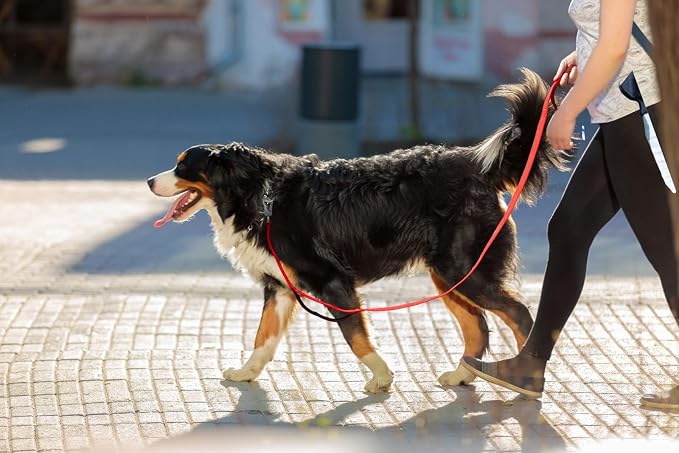 Twoear 5FT 1IN Heavy Duty Dog Leash for Large Dogs with 2 Padded Handles | Traffic Handle Extra Control, Auto Lock Hook, Strong Reflective Walking Leash for Night Safety, Medium and Large Breeds,Red - Image 7