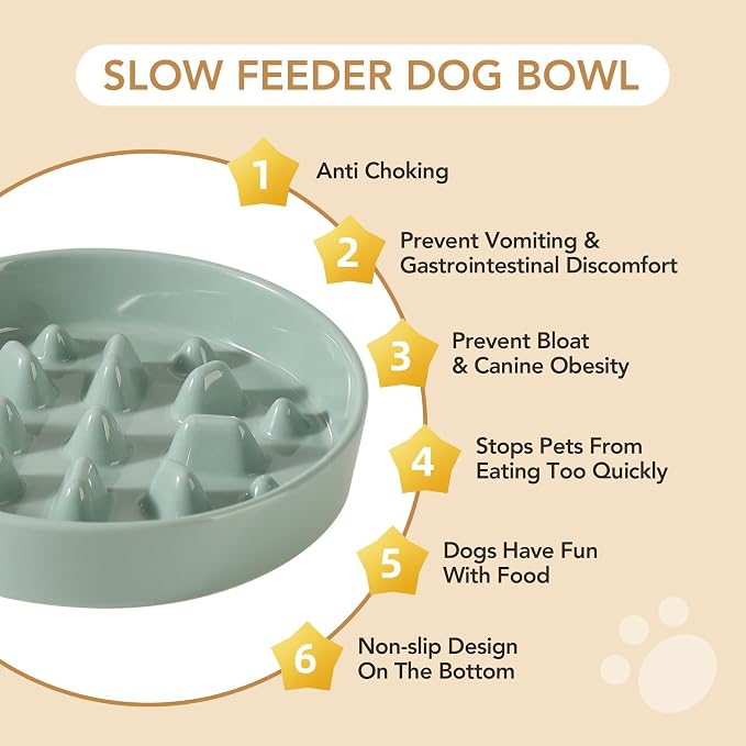 Havniva Dog Bowls Slow Feeder, Ceramic Slow Feeder Dog Bowls for Fast Eater | 1.6 Cups Dog Food Bowl Puzzle Feeder, Slow Feeding Bowls for Medium Breed, Non-Slip Base, Anti-Choking - Image 6
