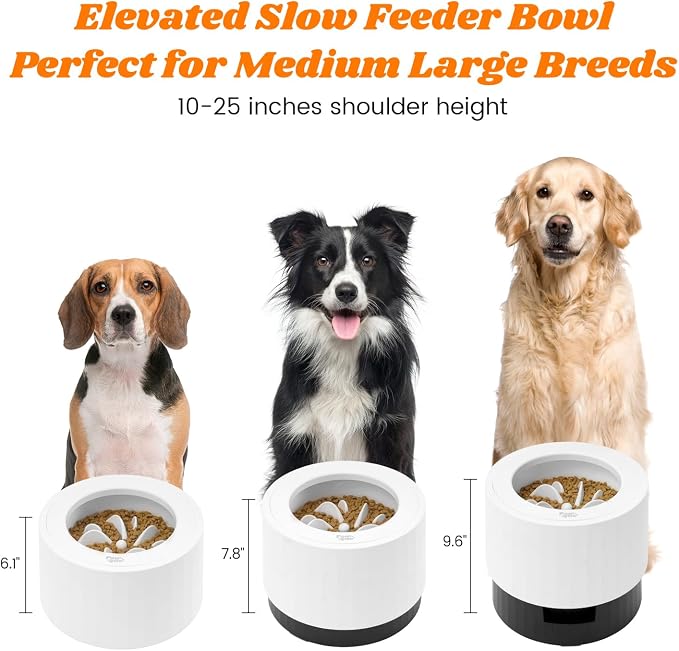 Pawque Elevated 60oz Slow Feeder Dog Bowls Large Breed Raised Food Bowl | Bowls for Medium Large Sized Dogs, Stable Sturdy Base and Snap on Adjustable Height Stand, Anti-Slip Mess Proof Dog Bowls - Image 2