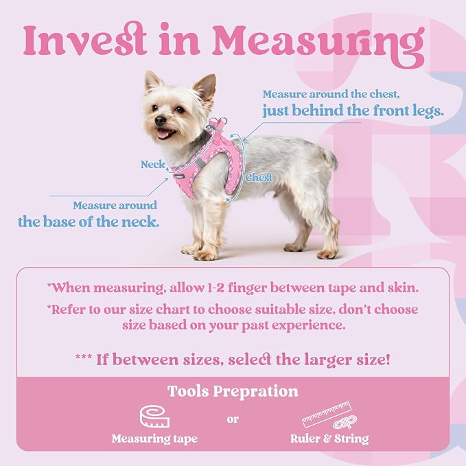 rabbitgoo Step-in Small Dog Harness, Puppy Vest for Small Sized Pet | Easy Put on and off, Lightweight, Soft, Breathable Quick-Dry Air Mesh for Comfortable Secure Walking, Pink & Plaid Trim M - Image 2