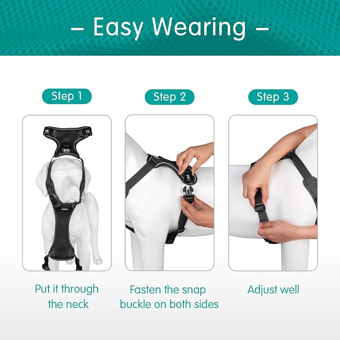 PoyPet Mesh Dog Harness, Reflective Breathable Puppy Vest for Medium Dogs | Lightweight, Soft Air Mesh, Back D-ring, Adjustable, Comfortable, Double Padded, No Choke, for Daily Walking, M, Black - Image 3