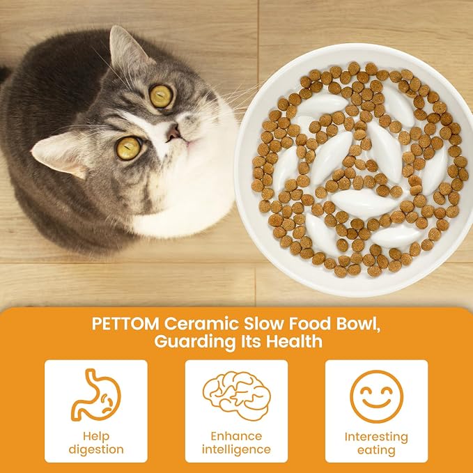 PETTOM Slow Feeder Cat Bowl with Stand, Ceramic Slow Eating Cat Bowl with Higher Edges Fish Pool Design Elevated Food Bowls for Dry and Wet Food Anti-Vomiting Puzzle Feeder for Healthy Eating Diet - Image 7
