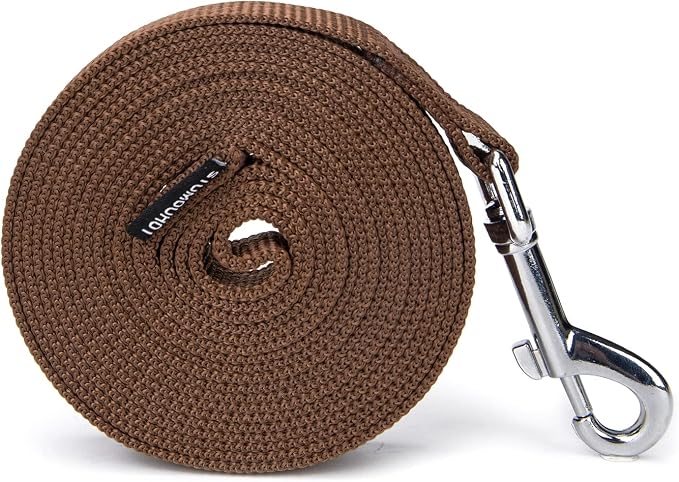 Strong Durable Nylon Dog Training Leash, 1 Inch Wide Traction Rope, 6 ft 10ft 15ft Long, for Small and Medium Dog (Brown, 6 Feet) - Image 8
