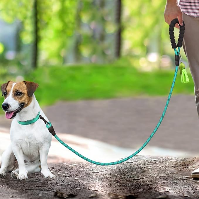 Dynmeow Reflective Dog Collar and Leash Set for Puppy Small Dogs, Teal | Soft Neoprene Padded, 6FT Climbing Rope, Ideal for Daily Outdoor Walking or Indoor Wearing, Night Visible for Safety - Image 5