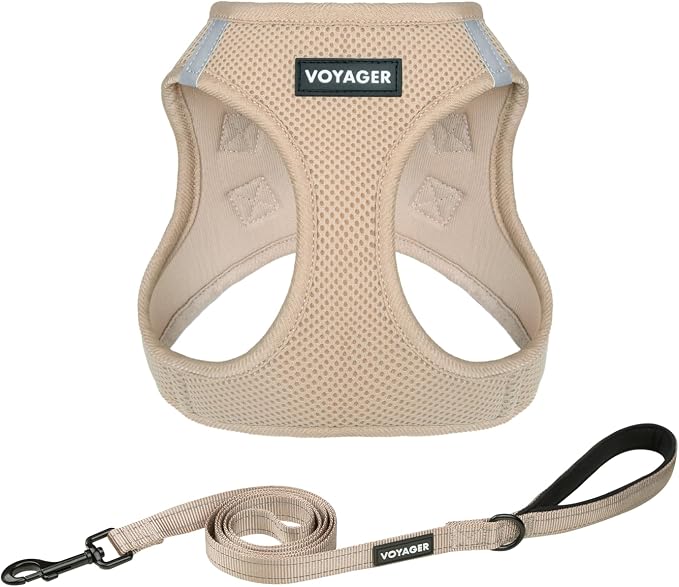 Best Pet Supplies Voyager Step-in Air All Weather Mesh Harness and Reflective Dog 5ft Leash Combo with Neoprene Handle, for Small, Medium and Large Breed Puppies - Khaki, XS by BestPetSuppliesLLC