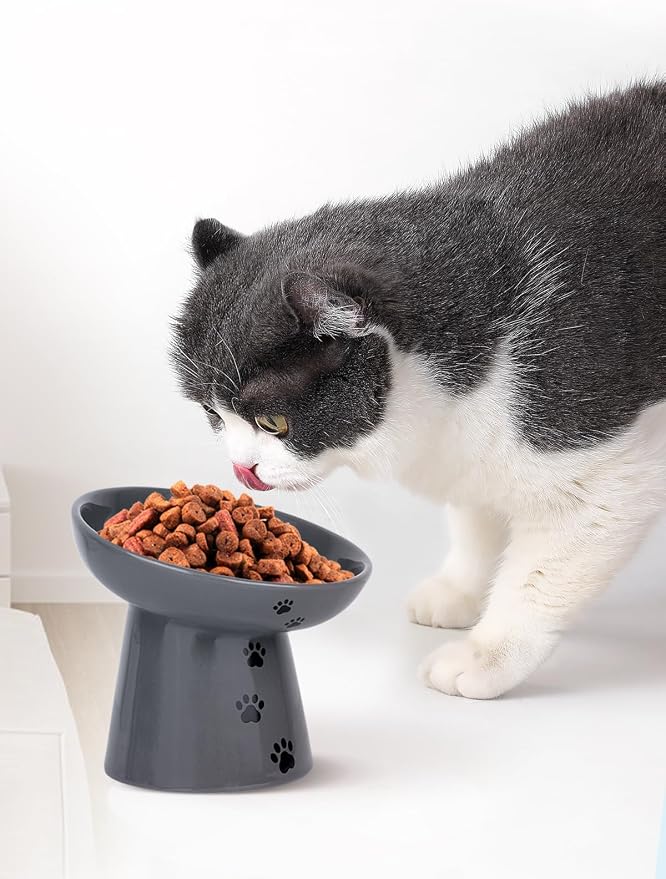 Y YHY Slow Feeder Cat Bowl, Ceramic Cat Slow Feeder Bowl, 6 Inches, Elevated, Anti Vomiting for Dry and Wet Food, Gray - Image 7