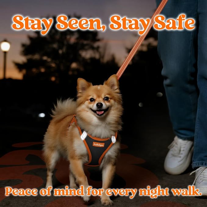 rabbitgoo Dog Harness Small Sized and Leash Set, Step in Soft Vest | Breathable Mesh, Easy Wear with Hook & Loop, Light and Reflective for Walking, Multi-colored, Black & Orange, M - Image 4