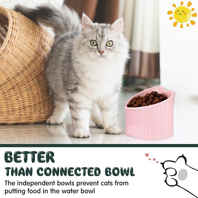 4 Pcs Elevated Cat Food Bowls, Ceramic Raised Cat Bowls, Shallow, Less Digestion Issues, Anti Vomiting, No Stress for Food and Water Indoor Kitten - Image 5
