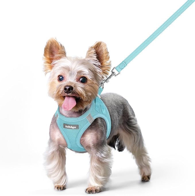 rabbitgoo Dog Harness Small Sized and Leash Set, Step-in Puppy Pet Vest | Light, Soft, Breathable Air Mesh, Easy on and Remove with Hook & Loop, Secure Reflective for Walking, Mint Blue XS by rabbitgoo