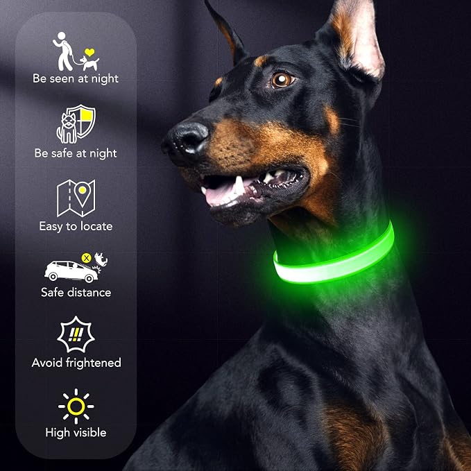 LED Dog Collar Light Up Dog Collars USB Rechargeable, Adjustable Size Heavy Duty TPU Nylon Webbing Glow Safety Basic Dog Collars for Large Medium Dogs (M, Neon Green)… - Image 6