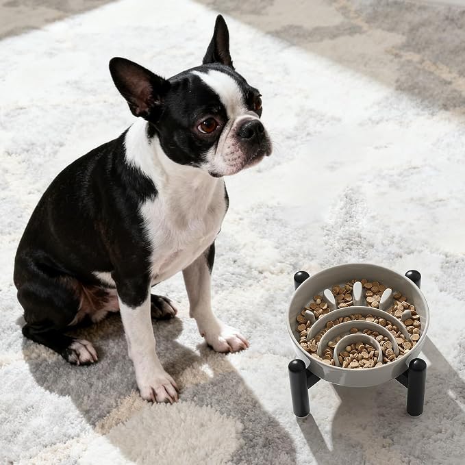 Elevated Slow Feeder Dog Bowl, 0.8 Cups Ceramic Raised Slow Feeder with Stainless Stand, 6.3 Inch Wide Lifted Dog Bowl for Small Breeds to Control Eating Speed, Grey - Image 7