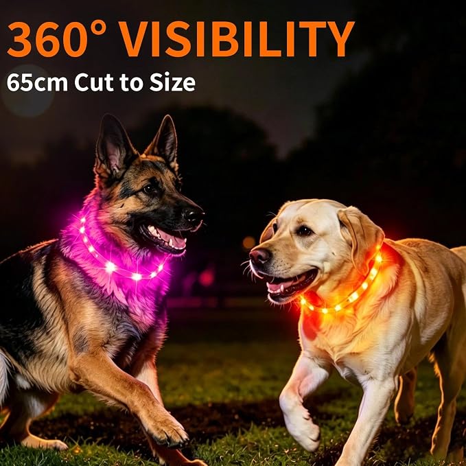 LaRoo LED Dog Collar, USB Rechargeable Flashing Light Dog Collar, Nighttime Safety, Cuttable Size for Small Medium Large Dogs, Makes Your Pet Visible in The Dark (Orange) - Image 5