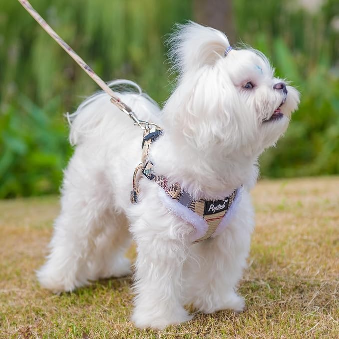 PUPTECK Dog Harness and Leash Set Small Sized, Step in No Pull Adjustable Puppy Cat Harness Reflective Pet Vest - Image 5