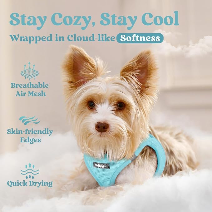 rabbitgoo Step-in Small Dog Harness, Puppy Vest for Small Sized Pet | Easy Put on and off, Lightweight, Soft, Breathable Quick-Dry Air Mesh for Comfortable Secure Walking, Mint Blue S - Image 3