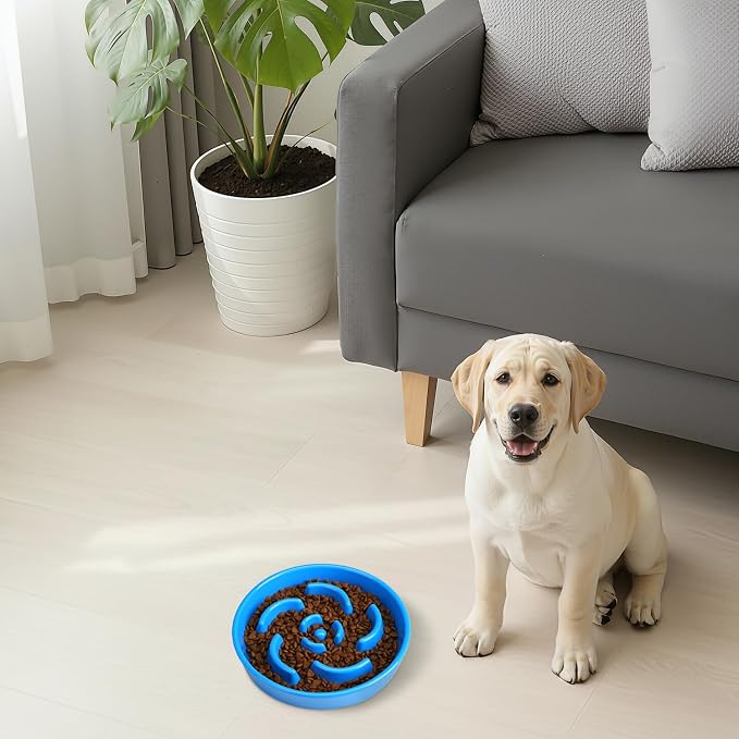 Ceramic Slow Feeder Dog Bowl, 2 Cups Maze Puzzle Dish to Slow Down Eating | Premium Ceramic Material with Anti-Slip Design, Suitable for Small, Medium and Large Breed Dogs Daily Feeding - Image 8